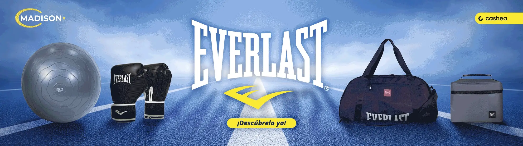 Todo lo que buscas aquí